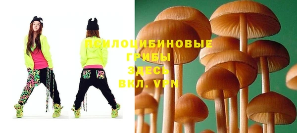 шишки Михайловка